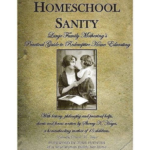 Homeschool Sanity: A Practical Guide To Redemptive Home Educating   de David M. Hayes  Format Broch 