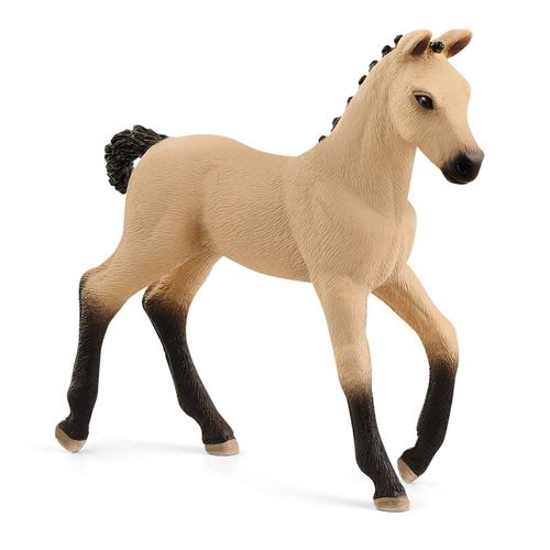 Horse Club Poulain Hanovrien Aubre
