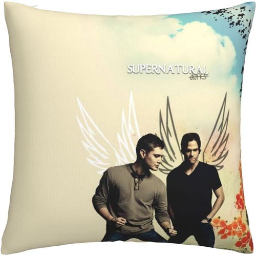 Housses De Coussin Surnaturelles - Taies D'oreiller Confortables - Housse De Coussin Carre - Taie D'oreiller Douce Pour Canap, Chambre  Coucher, Maison, Voiture Avec Fermeture clair Invisible - 45,7 X 45,7 Cm - Ensembles De 1