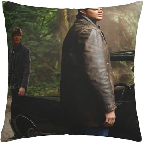 Housses De Coussin Surnaturelles - Taies D'oreiller Confortables - Housse De Coussin Carre - Taie D'oreiller Douce Pour Canap, Chambre  Coucher, Maison, Voiture Avec Fermeture clair Invisible - 45,7 X 45,7 Cm - Ensembles De 1