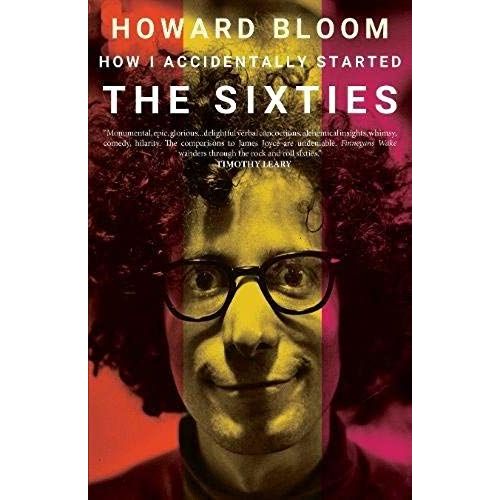 How I Accidentally Started The Sixties    Format Broch 