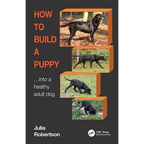 How To Build A Puppy    Format Broch 
