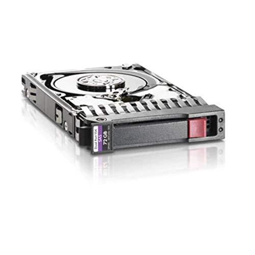 HP Disque dur interne 50GB SAS hard drive 15K RPM 3.5inch large DP SC 12G, 737573001 (3.5inch large DP SC 12G)