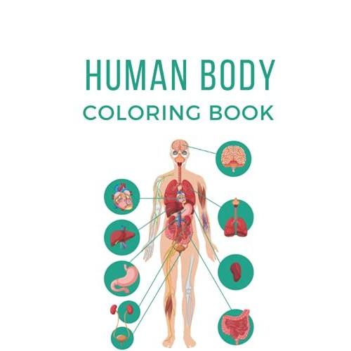 Human Body Coloring Book Anatomy And Physiology Coloring Coloring Book For Adults Teens