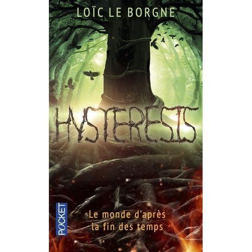 Hysteresis    Format Non Precis 
