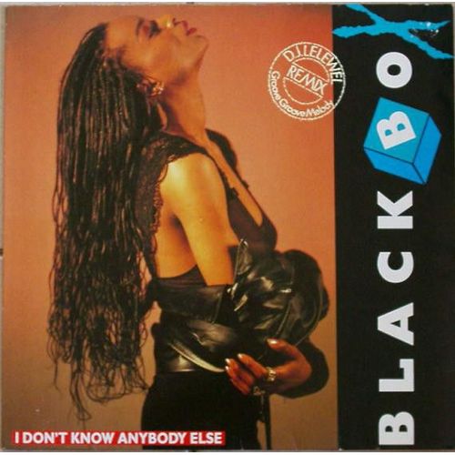 I Don't Know Anybody Else (D.J. Lelewel Remix) (German Maxi 12