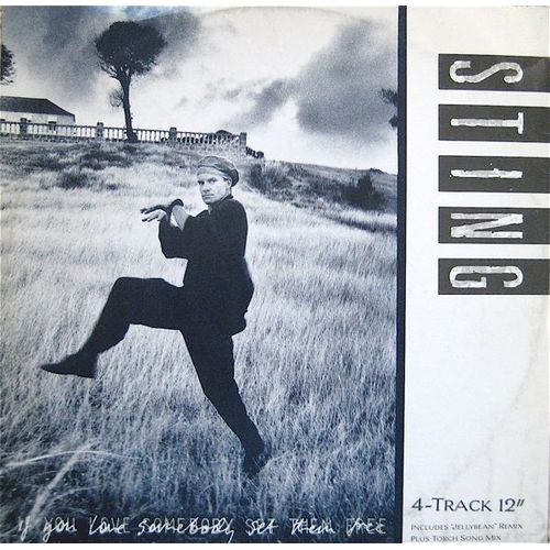 If You Love Somebody Set Them Free - Sting