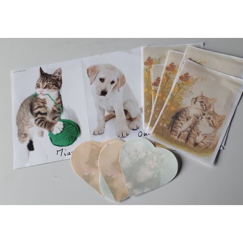 Image D'un Chaton Et D'un Chiot Labrador + Sept Feuillets Et Cinq Petits Coeurs De Papier Orns De Chatons + Pour Dcorer Ou Customiser Des Objets-Versos Pouvant tre Aussi Utiliss Pour Des Notes