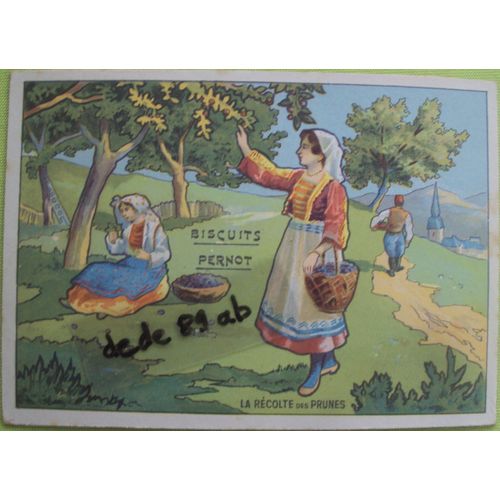 Image Publicitaire Ancienne Des Biscuits Pernot (Dijon) . Collection Rcolte : La Rcolte Des Prunes (12.00x8.50cm)