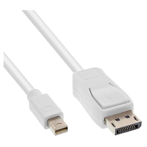 InLine - Cble DisplayPort