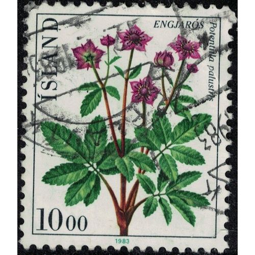 Islande 1983 Oblitr Used Plante Potentilla Palustris Comarum Palustre Comaret Des Marais Y&t Is 547 Su