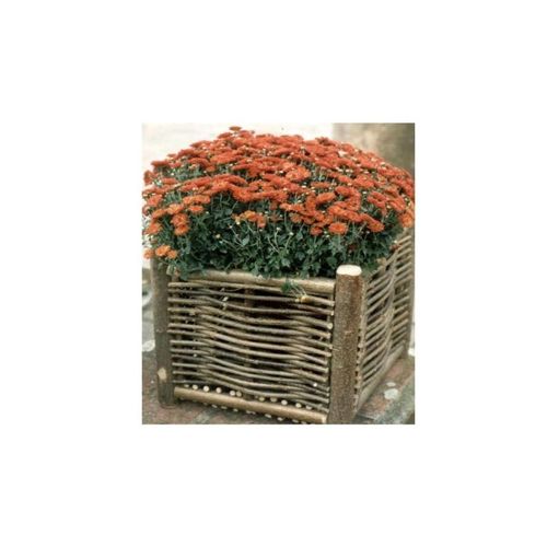 Jardinire En Bois De Noisetier Tress - 75 X 30 X 30 Cm
