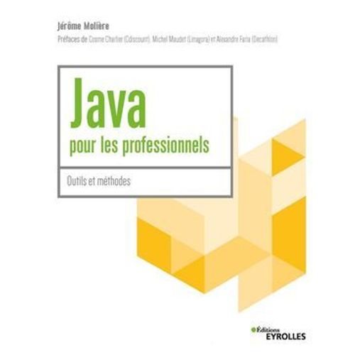 Java Pour Les Professionnels  