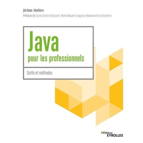 Java Pour Les Professionnels - Outils Et Mthodes    Format Beau livre 