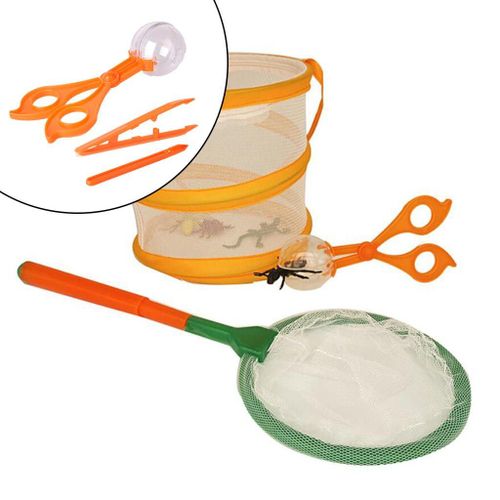 Jeu De Capture De Coccinelles, ducatif Pour Explorer Les Aventures En Plein Air, Tailles 3 4 5 6 7 8