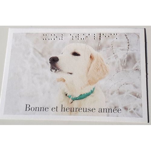 Jolie Carte Postale Reprsentant Un Jeune Chien Blanc Semblant Humer L'air Du Temps Sur Un Fond Enneig- Mention Bonne Et Heureuse Anne En criture Et En Braille- 10x15cm - dite Par Unadev