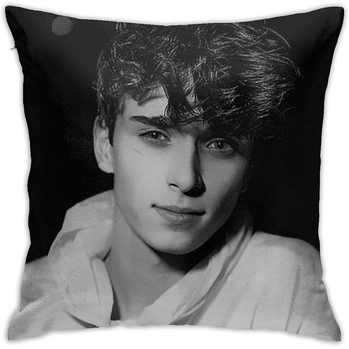 Josh Richards Taie D'oreiller Douce Mode Taie D'oreiller Dcor  La Maison Taie D'oreiller Dcorative Thow Housse De Coussin Cadeau 18in18in