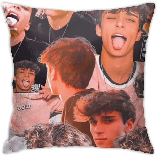 Josh Richards Taie D'oreiller Douce Mode Taie D'oreiller Dcor  La Maison Taie D'oreiller Dcorative Thow Housse De Coussin Cadeau 18in18in