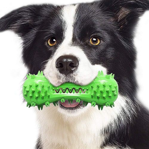 Jouet  Macher Pour Chien, Brosse  Dents Pour Chien En Caoutchouc Naturel, Jouet Pour Chien Indestructible, 1 Brosse  Dents Pour Chien, Vert