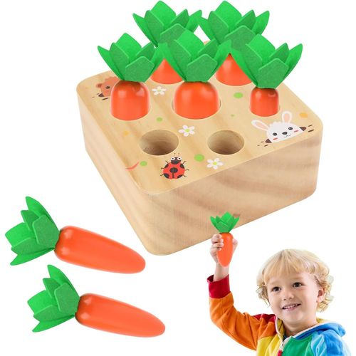 Jouet en bois  partir de 1 an | Jouet de motricit pour bb, puzzle Montessori en bois, jouet ducatif, rcolte de carotte[372]