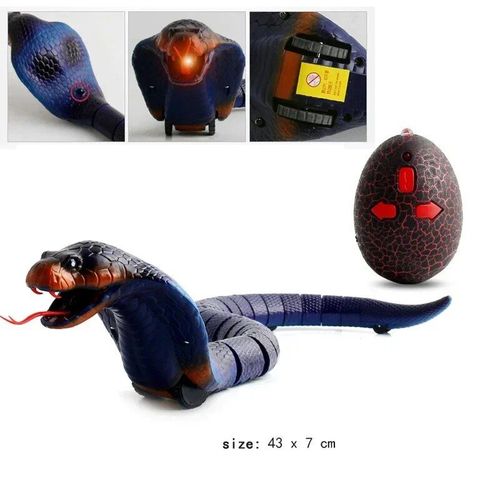 Jouet Gag lectrique Pour Enfant Garon,Blagues Pratiques,Salle Rc,Tlcommande,Animaux,Robots,Animaux,Aile,Farce,Araigne,Requin - Type A