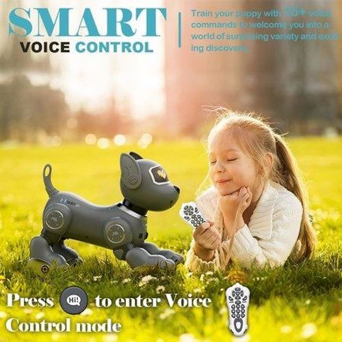 Jouet Pour Chien Robot Tlcommand  Commande Vocale 2,4 Ghz