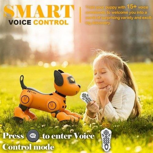 Jouet Pour Chien Robot Tlcommand  Commande Vocale 2,4 Ghz
