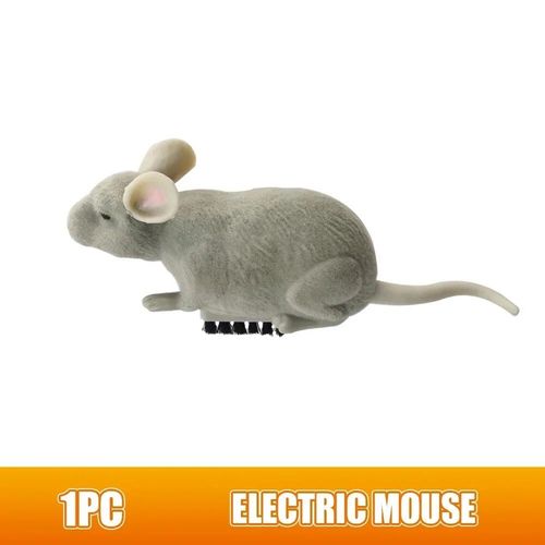 Jouets De Souris lectrique Pour Chat,Robot D'vasion Automatique,Vibration,Fonctionnement  Piles,Souris En Peluche,Jouet D'interaction Pour Animaux De Compagnie - Type Grey