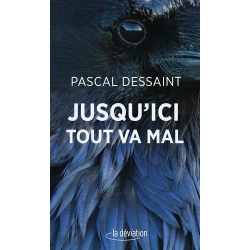 Jusqu'ici Tout Va Mal   de Dessaint Pascal  Format Beau livre 