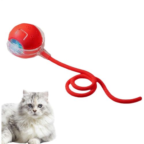 KAL-Jouets Interactifs Pour Chat - Jouet Interactif  Roulement Rapide Pour Chat