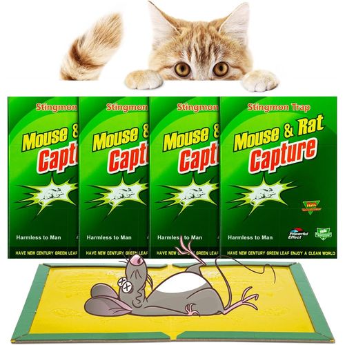 Kalanka-Piege A Souris | 4 Pcs Piege A Rat | Colle Souris Piege | Attrape Souris | Pige  Souris | Anti Souris Efficace | Glue Souris | Anti Rongeur | Plaque Collante Souris (4 Pcs)