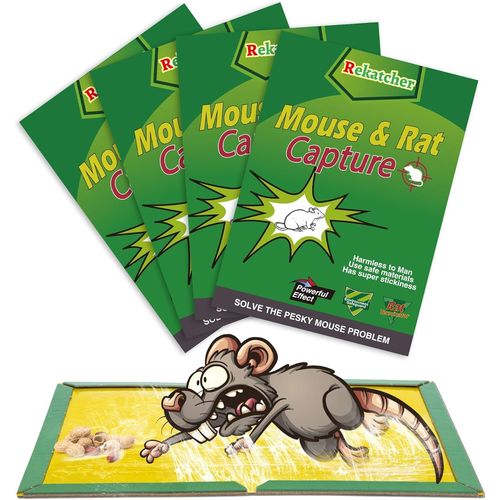 Kalanka-Piege A Souris Efficace Colle Souris 4 Pices Piege A Rat, Piege Attrape Souris Anti Souris Efficace Pige  Souris Anti Rongeur Plaque Collante Souris Produit Anti Rat