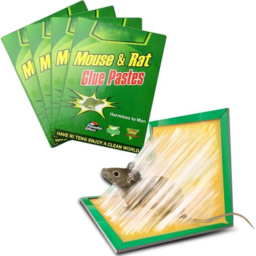 Kalanka-Piege A Souris, Piege A Rat,Colle Souris Piege Attrape Souris Anti Souris Plaques Collantes Souris, Plaques De Glu Anti Souris Anti Rat (5pcs)