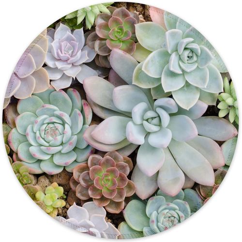 KALANKA-Tapis de Souris avec Bord Cousu, Tapis de Souris de qualit suprieure, textur, impermable, Base en Caoutchouc antidrapant, Accessoires de Bureau,Succulentes