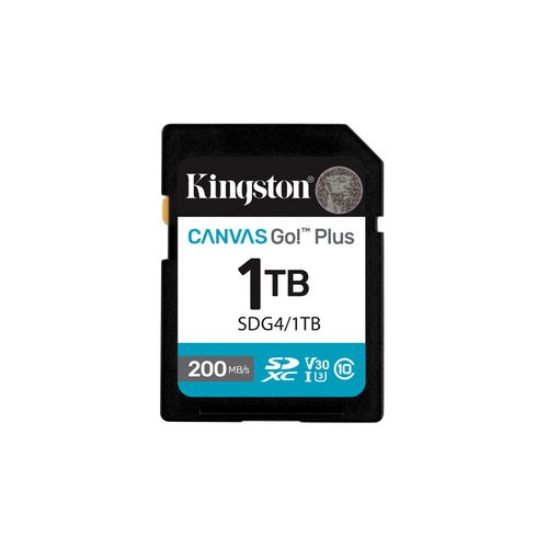 Kingston Canvas Go! Plus - Carte mmoire flash