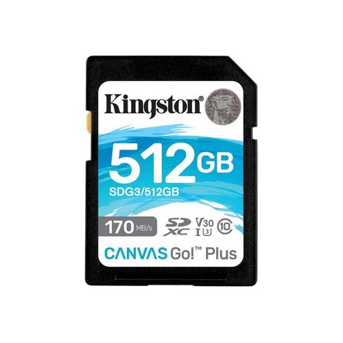Kingston Canvas Go! Plus - Carte mmoire flash