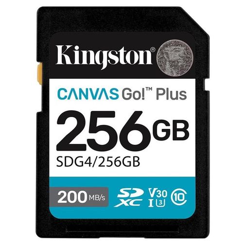 Kingston Canvas Go! Plus - Carte mmoire flash