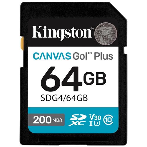 Kingston Canvas Go! Plus - Carte mmoire flash