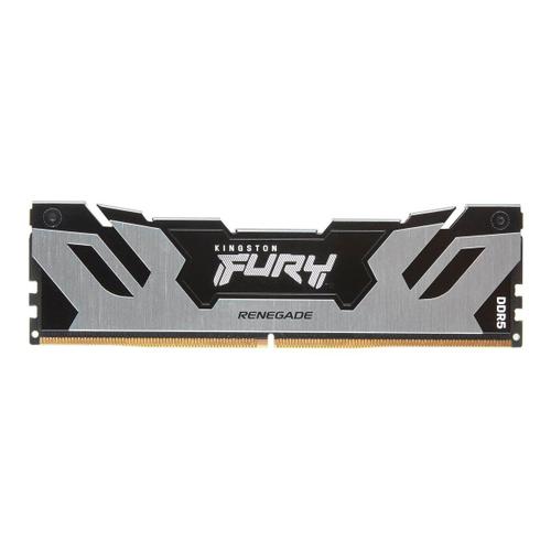 Kingston FURY Renegade Silver - DDR5