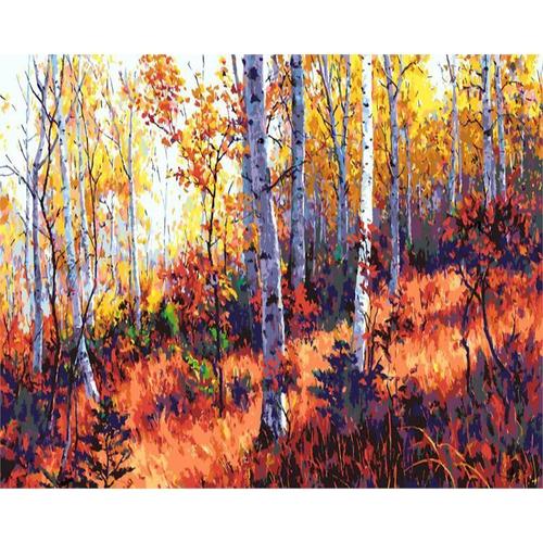 Kits De Peinture Par Numros De Pour Adultes, Bricolage, Peint  La Main Sur Toile Avec Image  L'huile Encadre, Dessin, Coloration Par Numro,Avec Cadre De Bricolage 40x50cm Lib30226