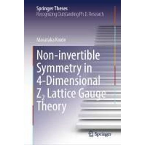 Non-Invertible Symmetry In 4-Dimensional Z2 Lattice Gauge Theory    Format Reli 