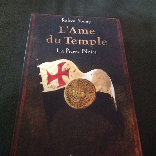 L'ame Du Temple - La Pierre Noire   de Robyn YOUNG  Format Broch 