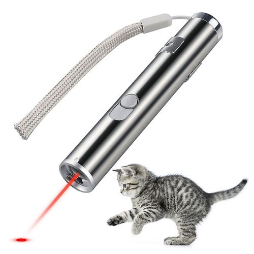 L'animal Familier Rechargeable D'usb Joue Le Pointeur De Laser De Formation De Chat Avec La Lampe-Torche Mene