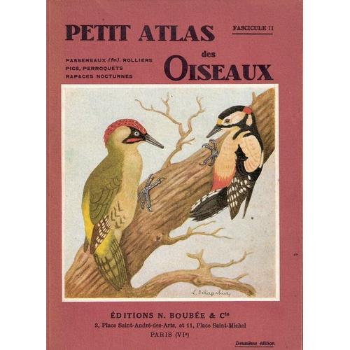 Petit Atlas Des Oiseaux - Fascicule - 2 - Passereaux (Fin) , Rolliers, Pics, Perroquets, Rapaces Nocturne de L. Delapchier