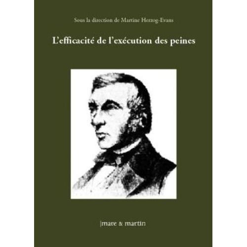L'efficacit De L'excution Des Peines - Actes De Colloques   de Herzog-Evans Martine  Format Broch 