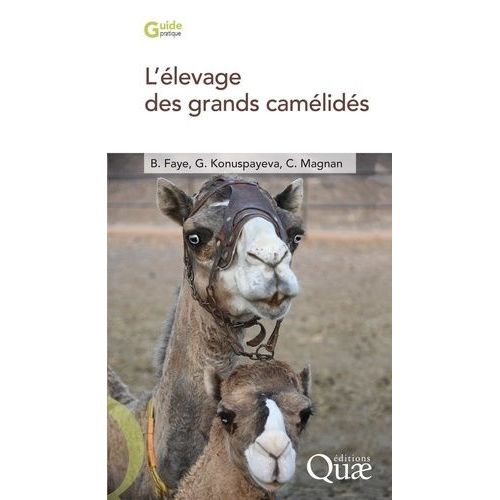 L'levage Des Grands Camlids   de Faye Bernard  Format Beau livre 