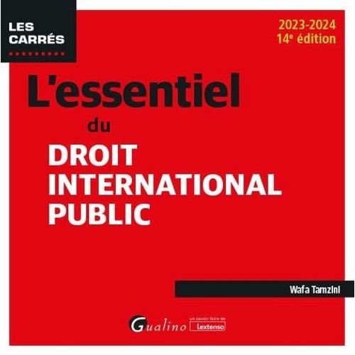 L'essentiel Du Droit International Public    Format Grand Format 