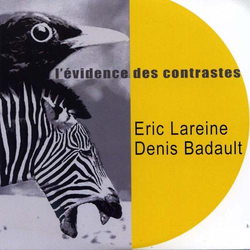 L'vidence Des Contrastes - Eric Lareine