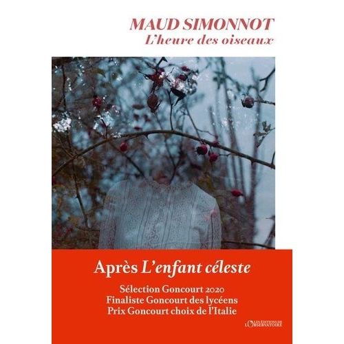 L'heure Des Oiseaux    Format Grand Format 