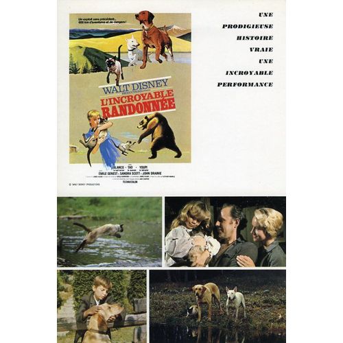 L'incroyable randonnée, synopsis, walt disney, Fletcher Markle Avec